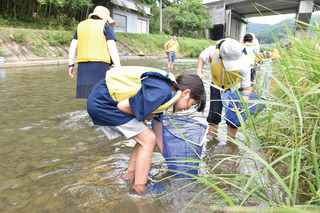 川の生き物調査北房.jpg