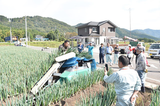 白ネギ2.jpg
