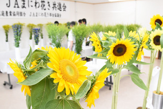 花き共進会03.jpg
